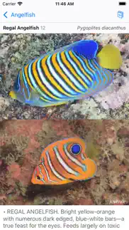 philippines fish id iPhone Captures Décran 4