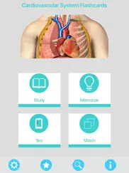circulatory system flashcards ipad resimleri 1