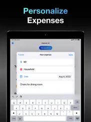 expense air - spending tracker ipad images 3