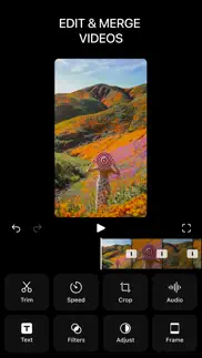 vixer – video editor & maker iphone images 1