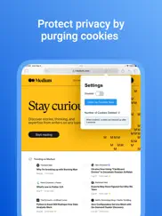 cookie dnt privacy for safari ipad images 1