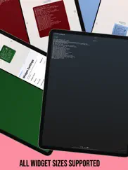 terminal info iPad Captures Décran 2