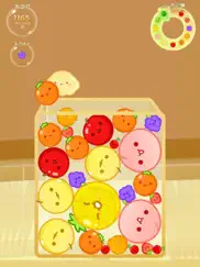 watermelon game sorting puzzle ipad capturas de pantalla 4