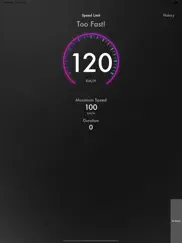 carbridge - light speedometer iPad Captures Décran 2