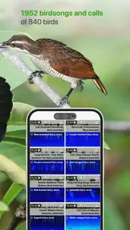 birdly - birdlife australia iphone images 3