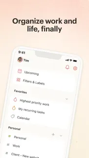 todoist: to-do list & planner iphone images 1
