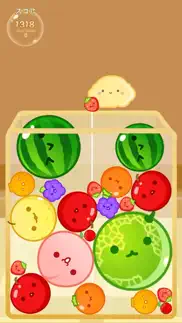 watermelon fruits match puzzle iphone capturas de pantalla 1