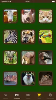 Звуки животных айфон картинки 1