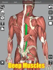 3d anatomy learning iPad Captures Décran 3