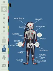 el cuerpo humano por tinybop ipad capturas de pantalla 3