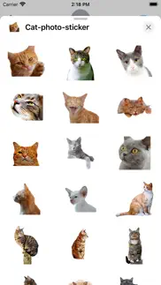 cat photo sticker iphone images 1