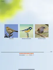 cui-cui! chants d'oiseaux iPad Captures Décran 4