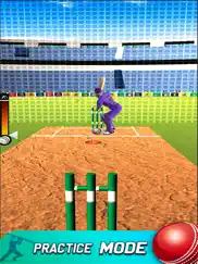play live cricket game ipad images 1