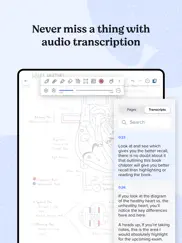 notability: notes, audio, pdf ipad images 3