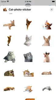 cat photo sticker iphone images 2