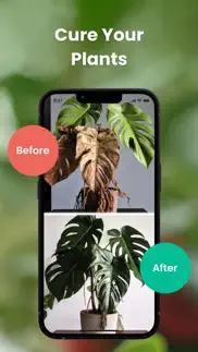 plantin: plante reconnaissance iPhone Captures Décran 4