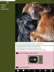 monkey haven ipad images 4