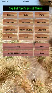 turkey hen-tom hunting calls iphone images 1