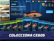 fishing clash: juego de pesca ipad capturas de pantalla 3