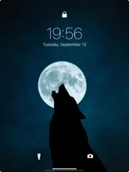 wolf live wallpapers 4k ipad images 4