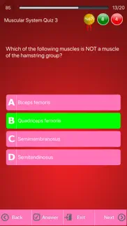 human muscular system trivia iphone images 3