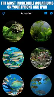aquarium tv screen iphone images 1