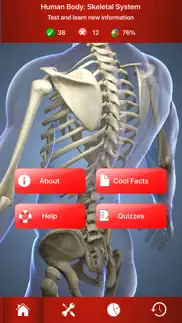 human skeletal system trivia iphone images 1