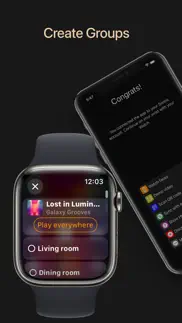 lyd - watch remote for sonos iphone images 4