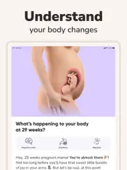 wemoms - pregnancy & baby app ipad images 2