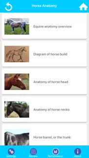 learn horse knowledge iphone resimleri 2