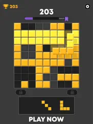 block puzzle sudoku ipad images 4
