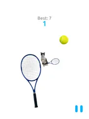 cat tennis battle ipad images 3