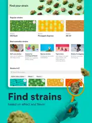 weedmaps: cannabis, weed & cbd ipad images 4