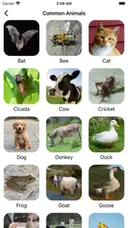 animal sounds pro farm jungle voices for kids айфон картинки 2