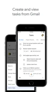 google tasks: get things done iphone images 3