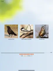 chirp! bird songs & calls usa ipad images 4