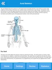 skeletal system anatomy ipad images 3