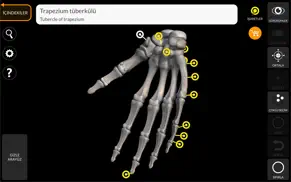 skeleton 3d anatomy iphone resimleri 4