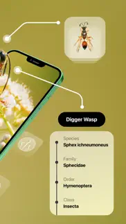 insect identifier iPhone Captures Décran 2