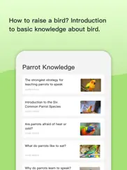 birdtalker-teach bird to talk ipad resimleri 4