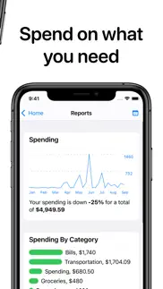 openbudget - budget and save iphone images 3