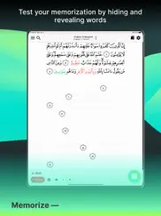 tarteel: quran memorization ipad images 4