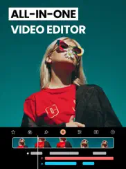 video overlay editor - vidlab ipad images 1