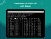 ssh client - terminal, telnet ipad images 2