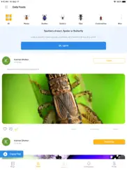 insect photo identifier ai ipad resimleri 1