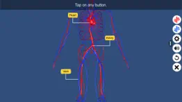 circulatory system iphone images 4