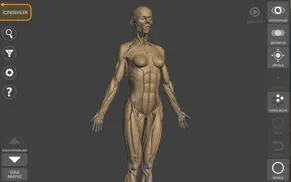 3d anatomy for the artist 2023 iphone resimleri 3