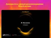 Яндекс Музыка, книги, подкасты айпад изображения 1