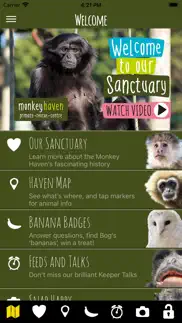 monkey haven iphone images 2
