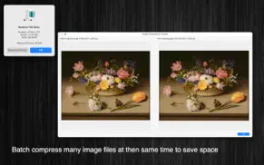 savespace2 iphone capturas de pantalla 4
